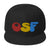 OSF Snapback Hat